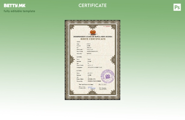 модерен стил Шаблон за PSD извод од матична книга на родени Папуа Нова Гвинеја